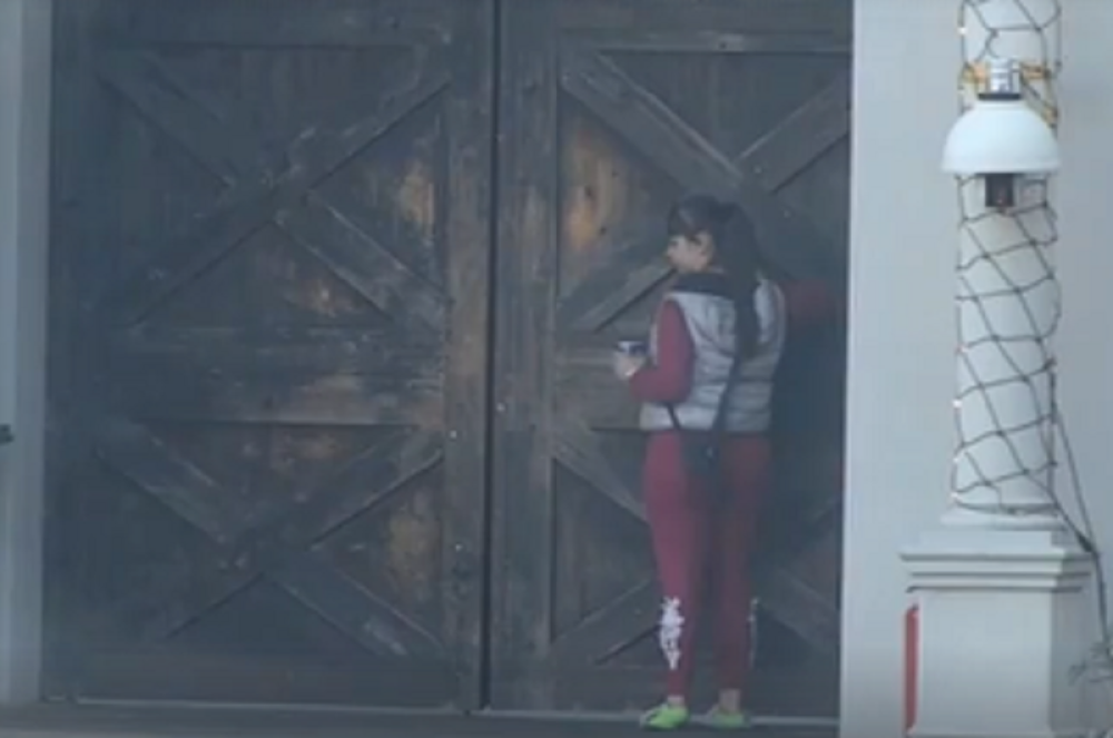 Miljana Kulić odlepila pa iz protesta urinirala po imanju! (ŠOK VIDEO)