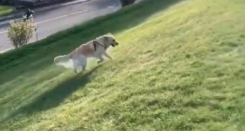 Za manje od 24 sata pokupio TRI I PO MILIONA pregleda (VIDEO)