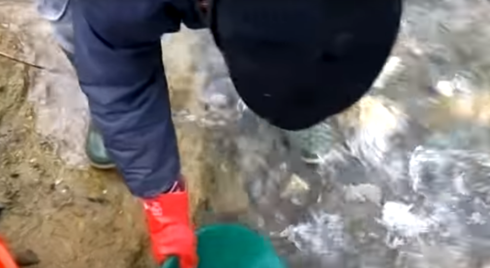 Reka koja u svom koritu skriva neobično bogatstvo, a nalazi se usred Srbije!