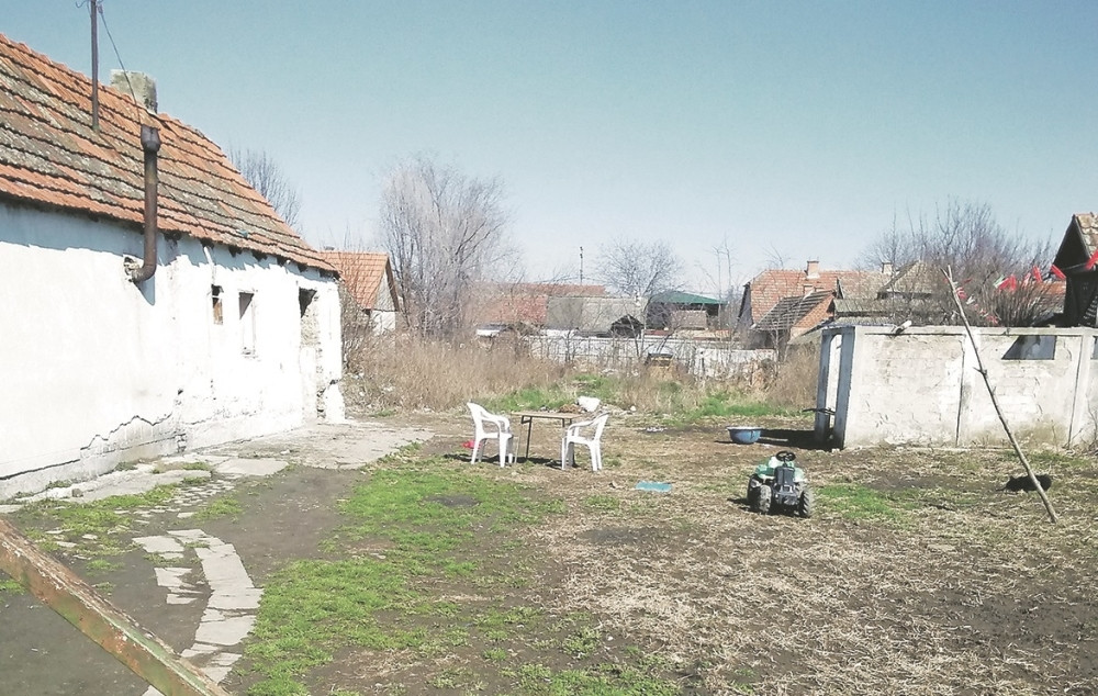 Šok u Crnoj Gori! U dvorište porodične kuće u Podgorici uskočio najveći balkanski predator!