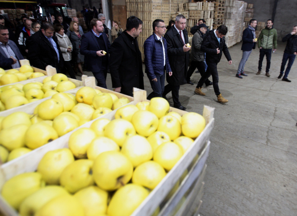 Vlada odobrila subvencije od 53 milijarde