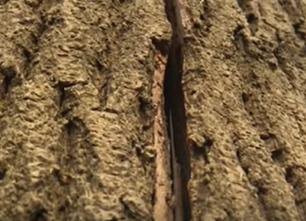 Spomenik prirode na samo sat vremena vožnje od Beograda