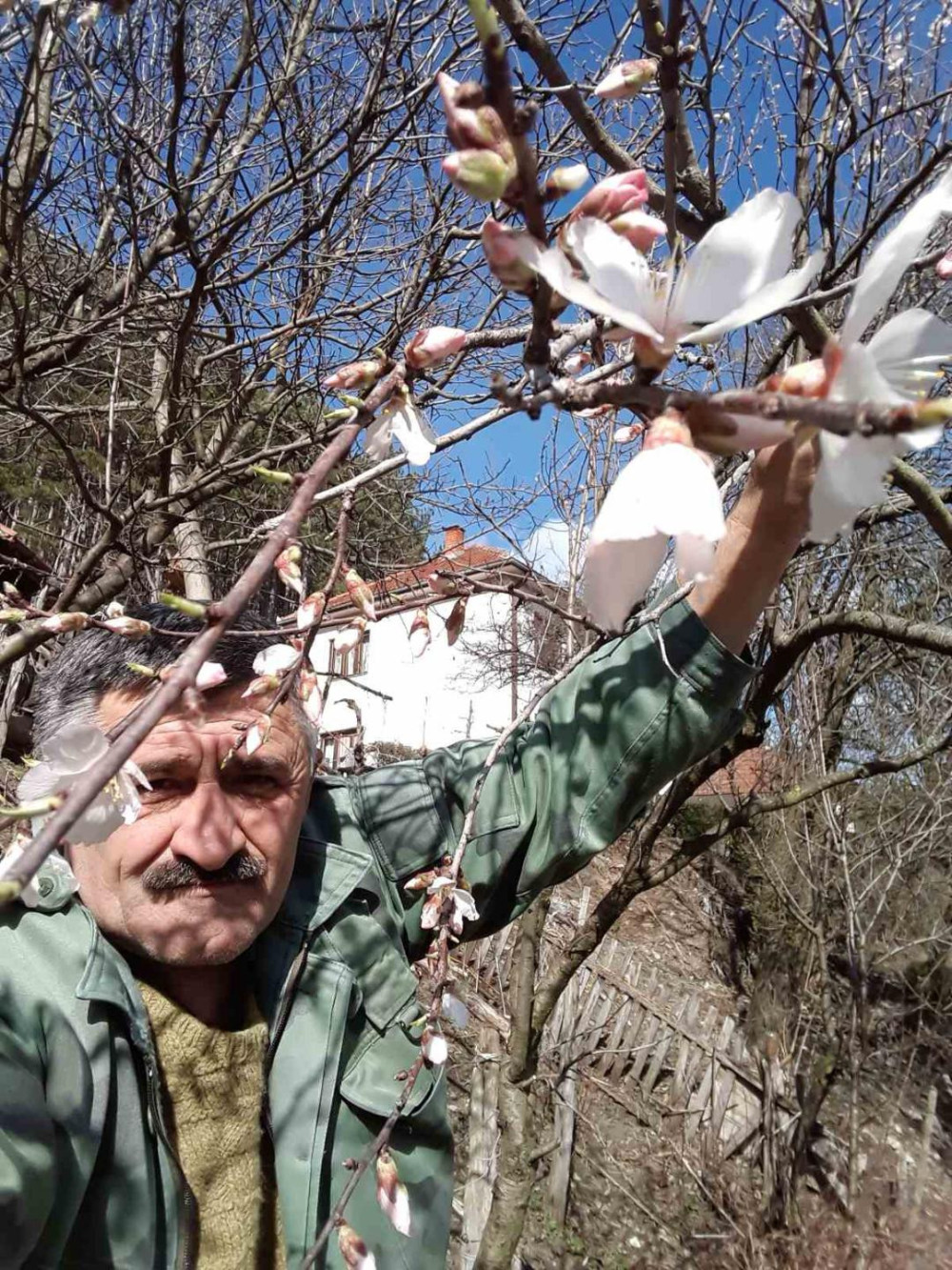 Ovako Miša čuva svoje bademe: Vatra u voćnjaku spašava plodove od mraza (FOTO)