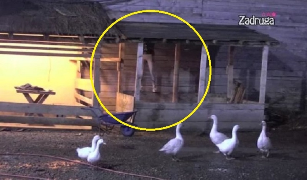 Mina Vrbaški napustila Zadrugu?! Popela se na krov, zamalo da nastrada! (VIDEO)