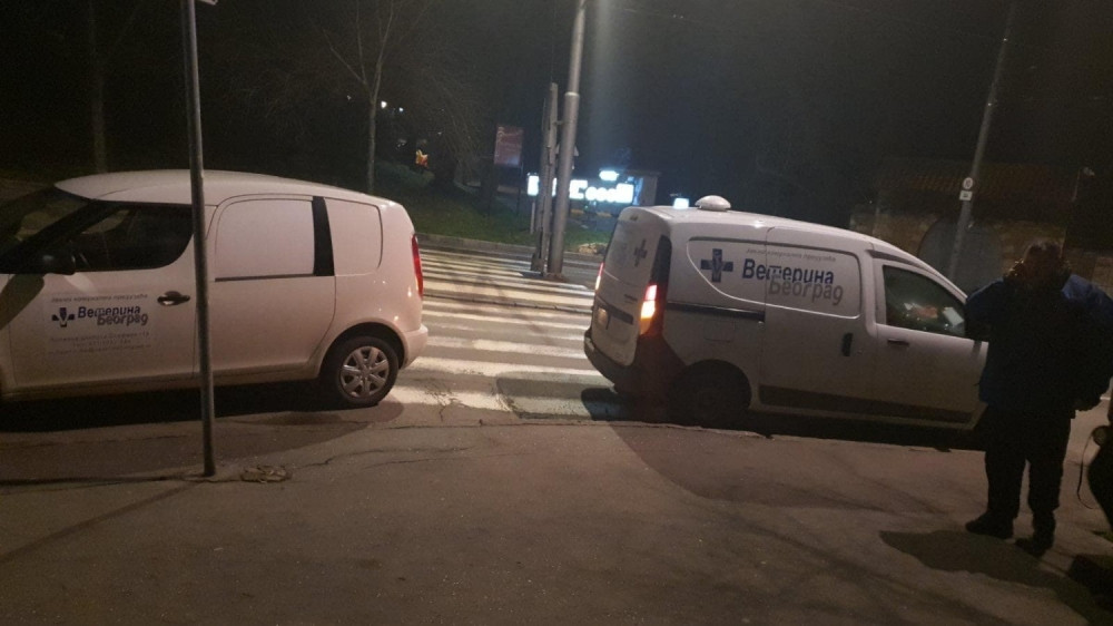 Ekipe Veterine Beograd rade sve kako bi sprečile dalje trovanje! (SLIKE SMRTONOSNIH SUPSTANCI)