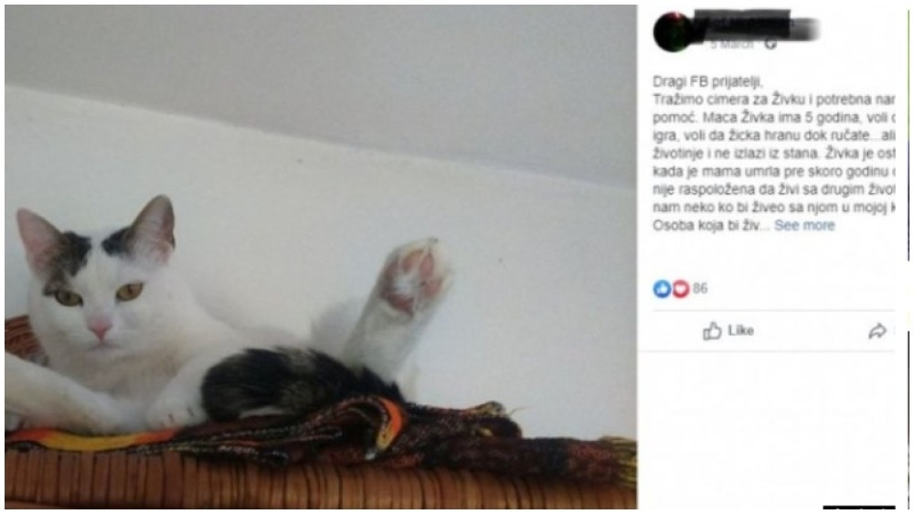 O ovom oglasu priča cela Srbija i mnogo je potencijalnih stanara koji žele da se usele