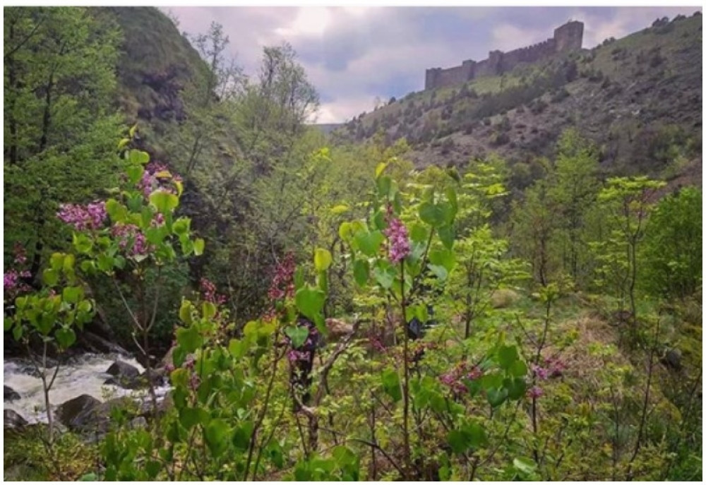 Već sedam vekova ovaj deo naše zemlje izgleda kao Provansa
