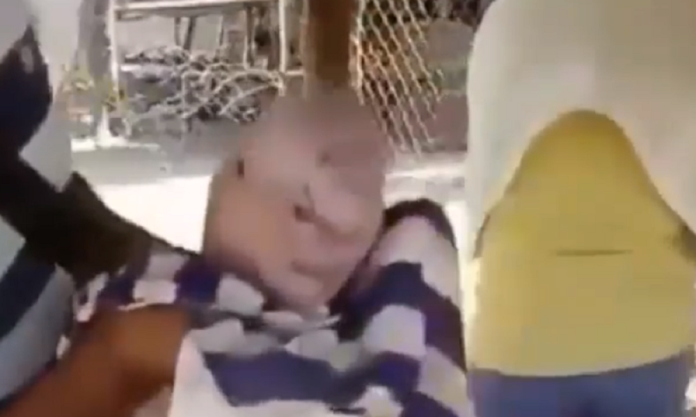 Kada se krmača oprasila, farmer nije mogao da veruje šta je video! Društvene mreže "izgorele" (VIDEO)