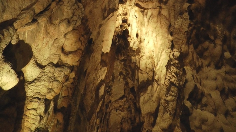 Smete li da se usudite da posetite mesto u kom "caruju slepi miševi"? (FOTO)