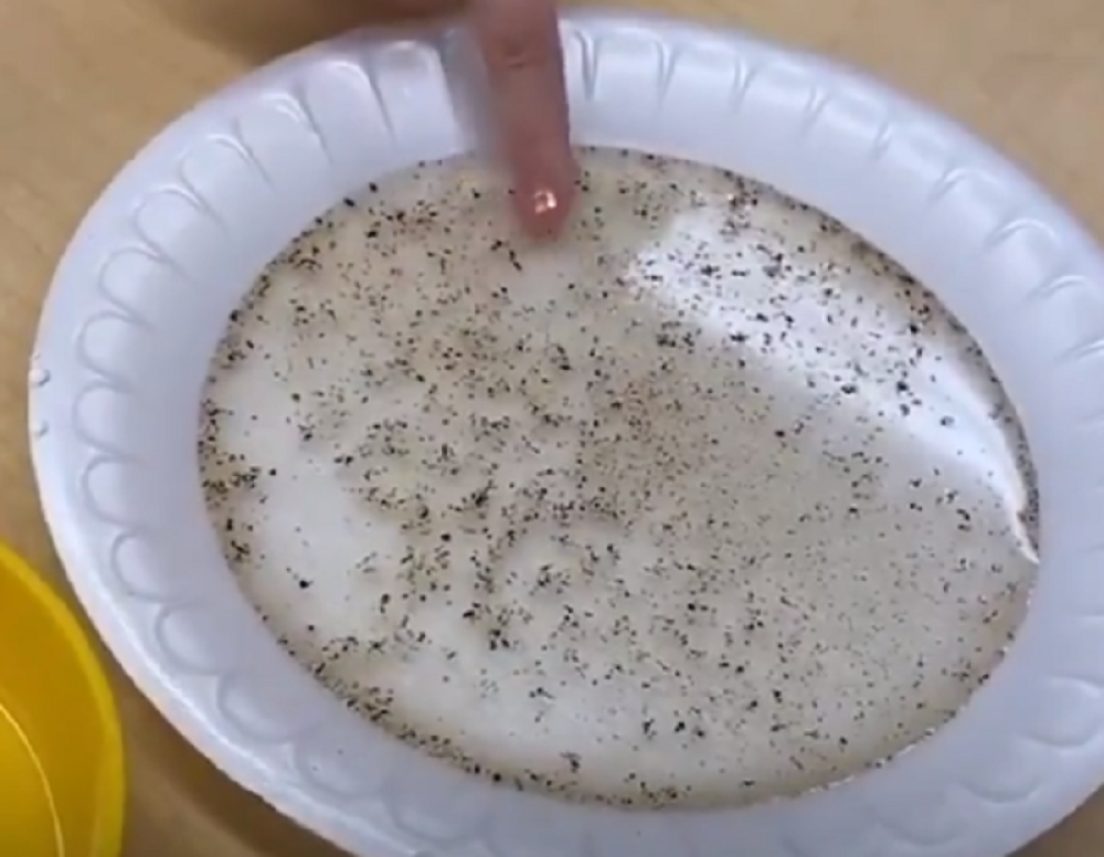 Evo kako sapun uništava viruse! (VIDEO)