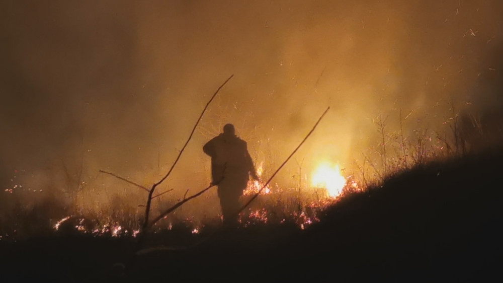 Bukti požar na Fruškoj Gori, traga se za osumnjičenim za podmetanje
