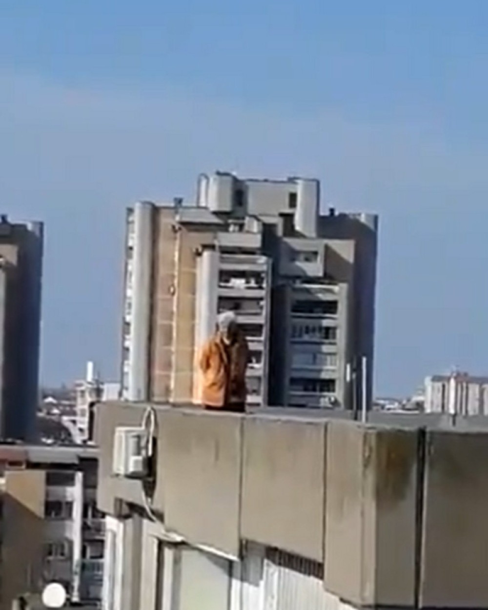 Ovaj deka iz Novog Sada uspeo je da zasmeje celu naciju! Pronašao je "bezbedno" mesto za šetnju! (VIDEO)