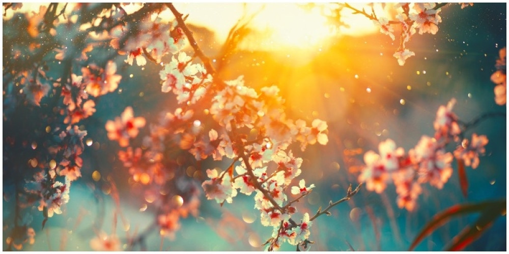 Pojavio se loš znak u selu kraj Gornjeg Milanovca! Meštani u čudu zbog jednog fenomena u oktobru