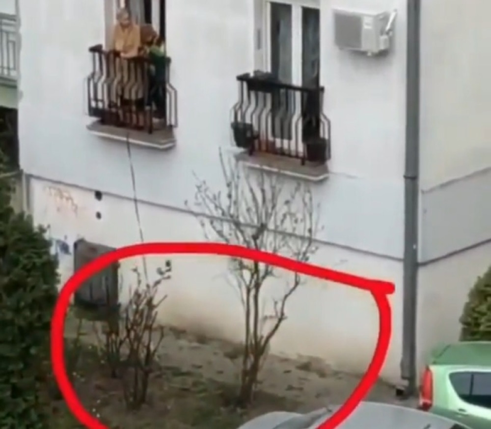 Scena iz Srbije obilazi planetu, ovaj pas će uskoro sam početi da koristi toalet (VIDEO)