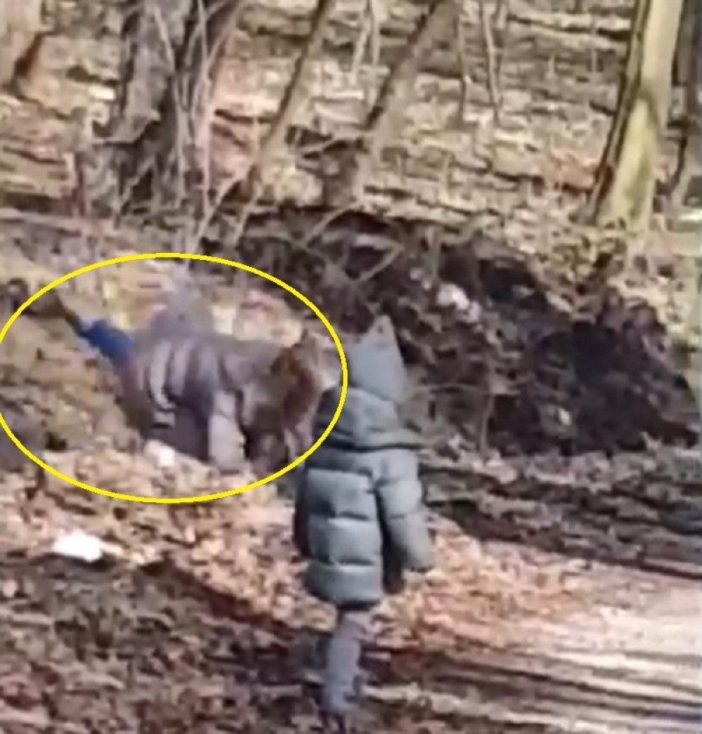 Majka Nataše Bekvalac odjednom se srušila na glavu! Čuvala unuku, pa doživela pakao  (VIDEO)