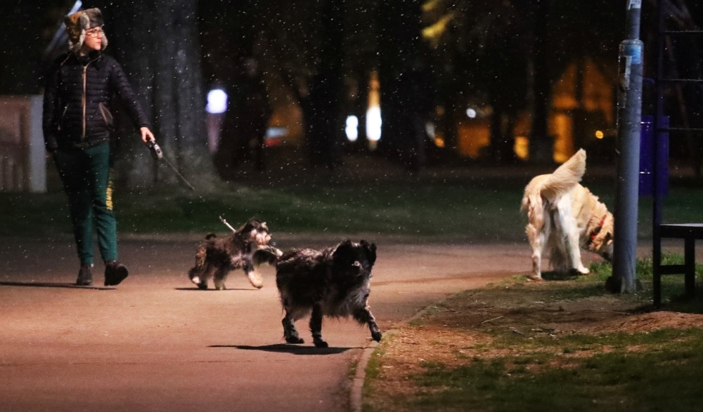Biće dozvoljeno šetanje kućnih ljubimaca, ali u tačno određenom periodu i prostoru!