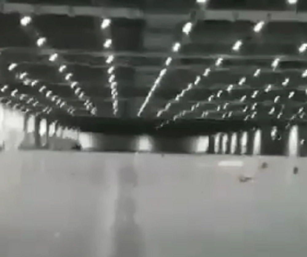 Beogradski sajam uzor Britancima (VIDEO)