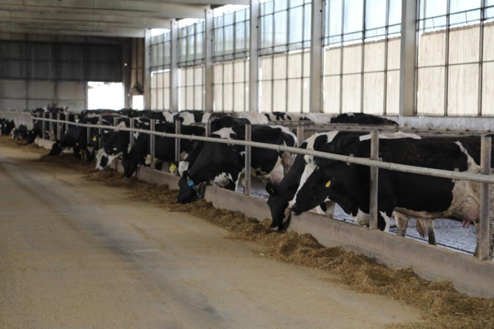 AL DAHRA: Svim radnicima u proizvodnji stimulacija 5.000 RSD