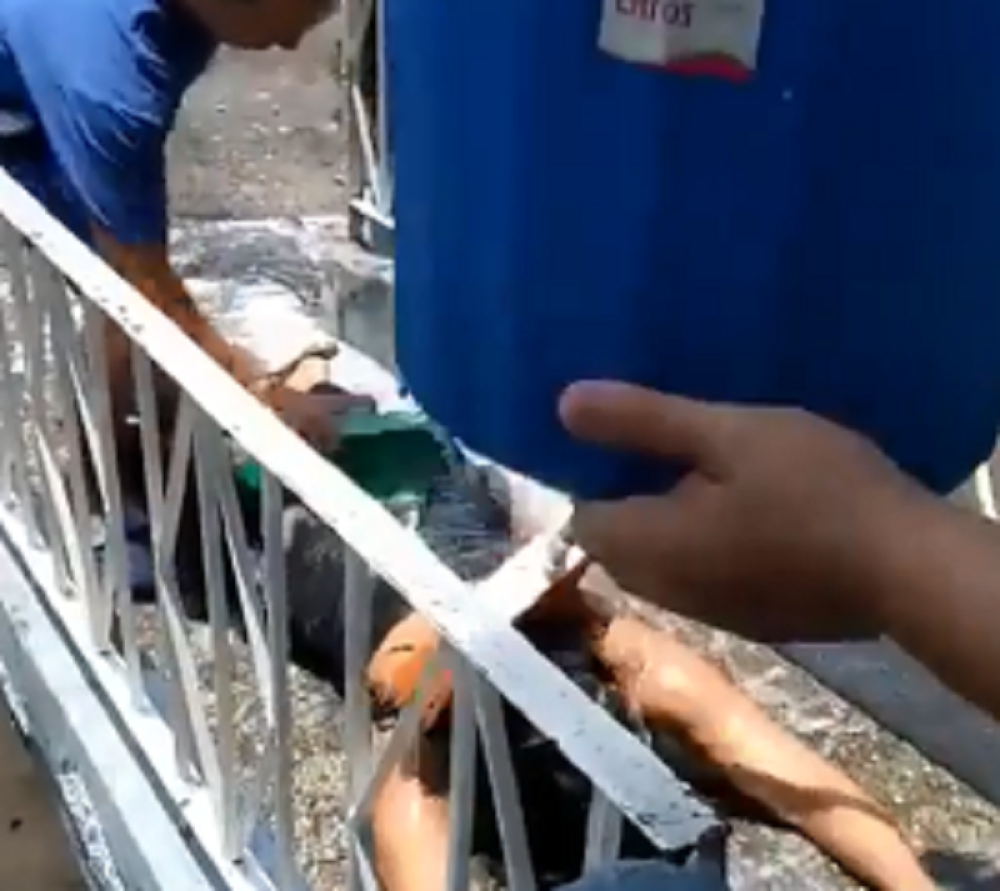 Dezinfekcija člana porodice koji se vraća iz prodavnice (VIDEO)