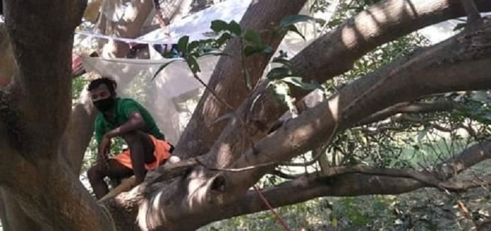 Oni znaju pravila, pa su se po povratku iz inostranstva "preselili" na drvo! (VIDEO)