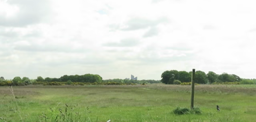 Vlada kupila parcelu, stari park se pretvara u masivno groblje! (FOTO)