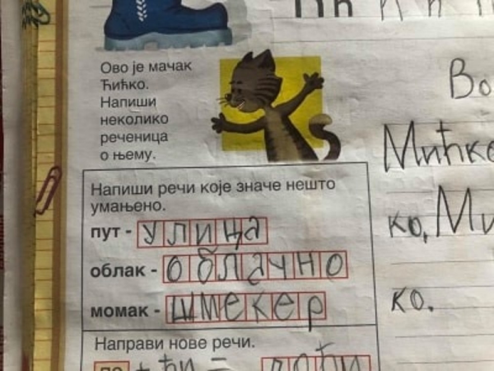 Jedan školarac rešio je zadatak na urnebesan način (FOTO)
