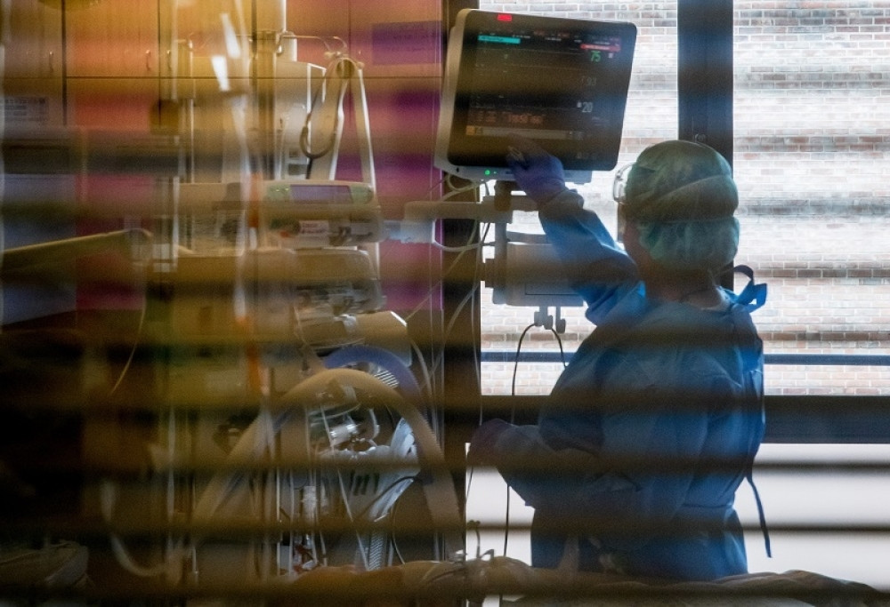 Španci tvrde da su slepi miševi izvor korona virusa, i da ono najgore tek sledi!