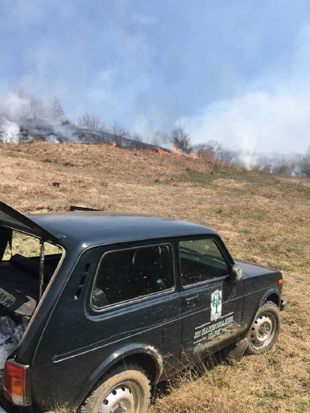 Roštiljali na Fruškoj gori usred vanrednog stanja (FOTO)