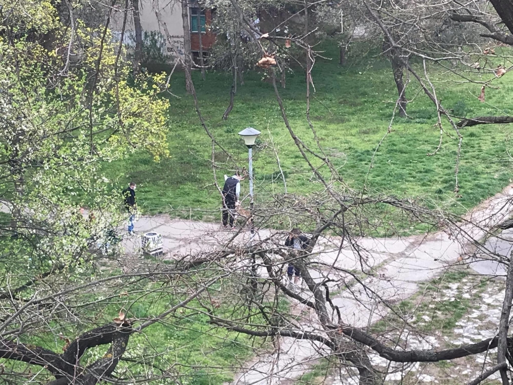 Za njih mere Vlade Srbije ne predstavljaju prepreku! Momci iz komšiluka provode vreme napolju! (VIDEO)