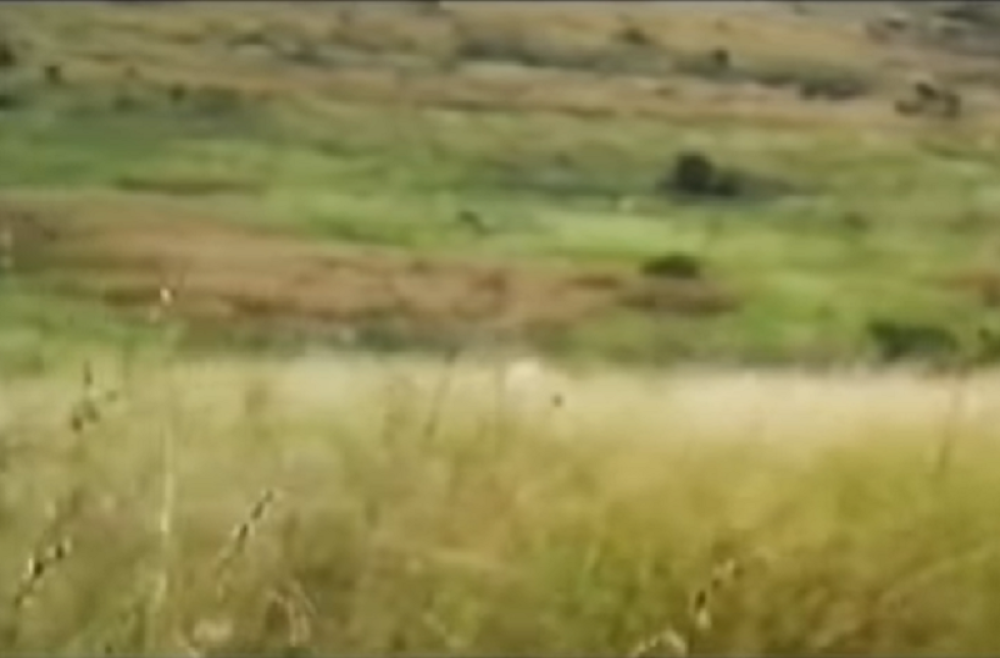 U njoj čak 30.000 tela ubijenih! Meštani sve otkrili, ali i još neko