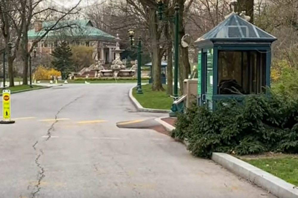 Ljudi prenose koronavirus i na životinje! Zabeležen prvi slučaj! (VIDEO)