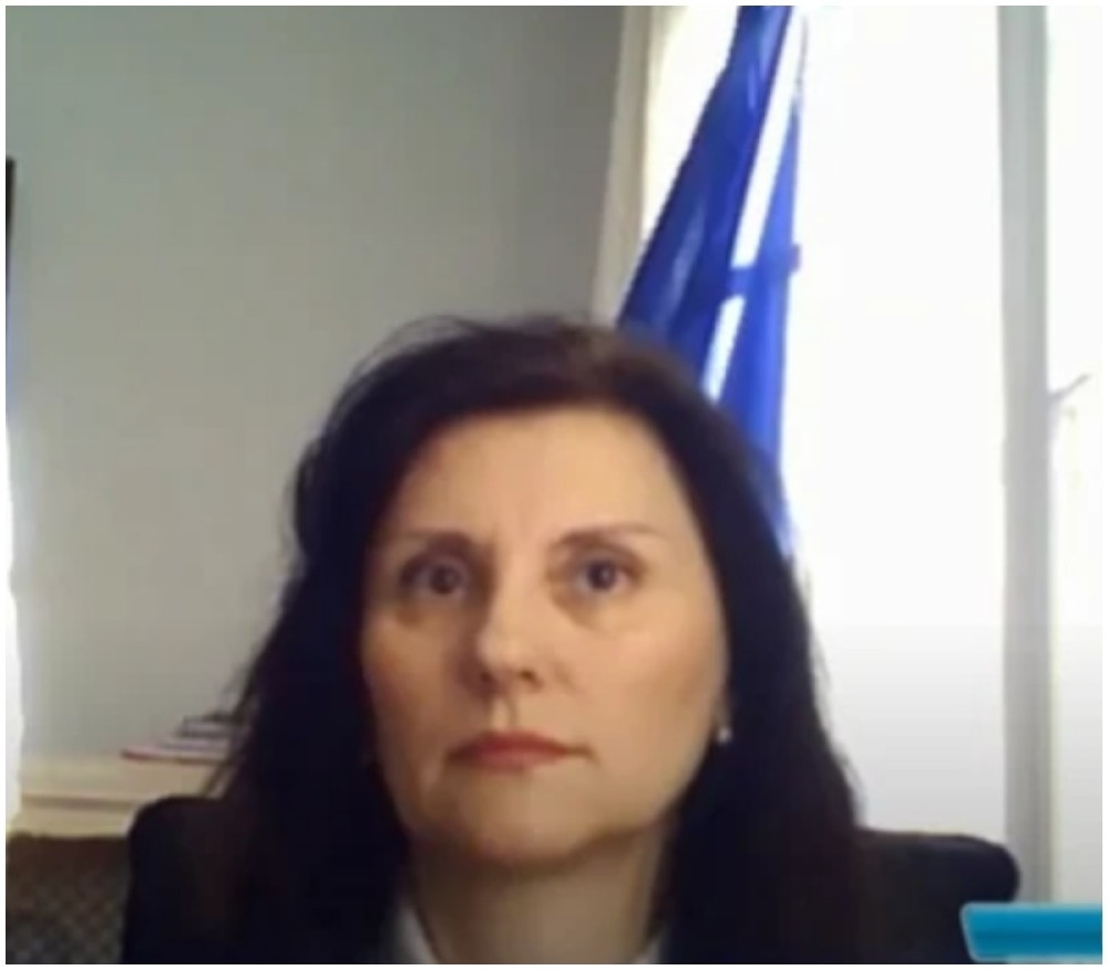 Janković:Nemci se pribojavaju da li će kapaciteti koje imaju biti dovoljni