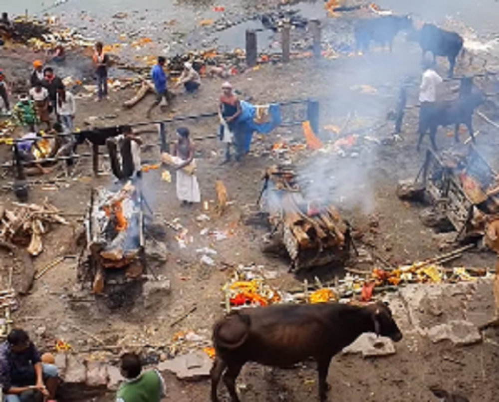 Mesto za umiranje gde nema plakanja! (VIDEO)