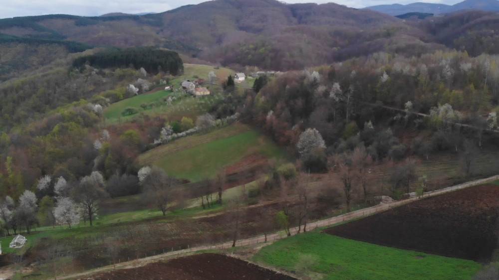 Evo po čemu je planina Jelica dobila ime