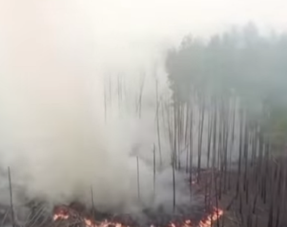 Mnogima izgleda bezopasno, ali posledice mogu biti stravične!