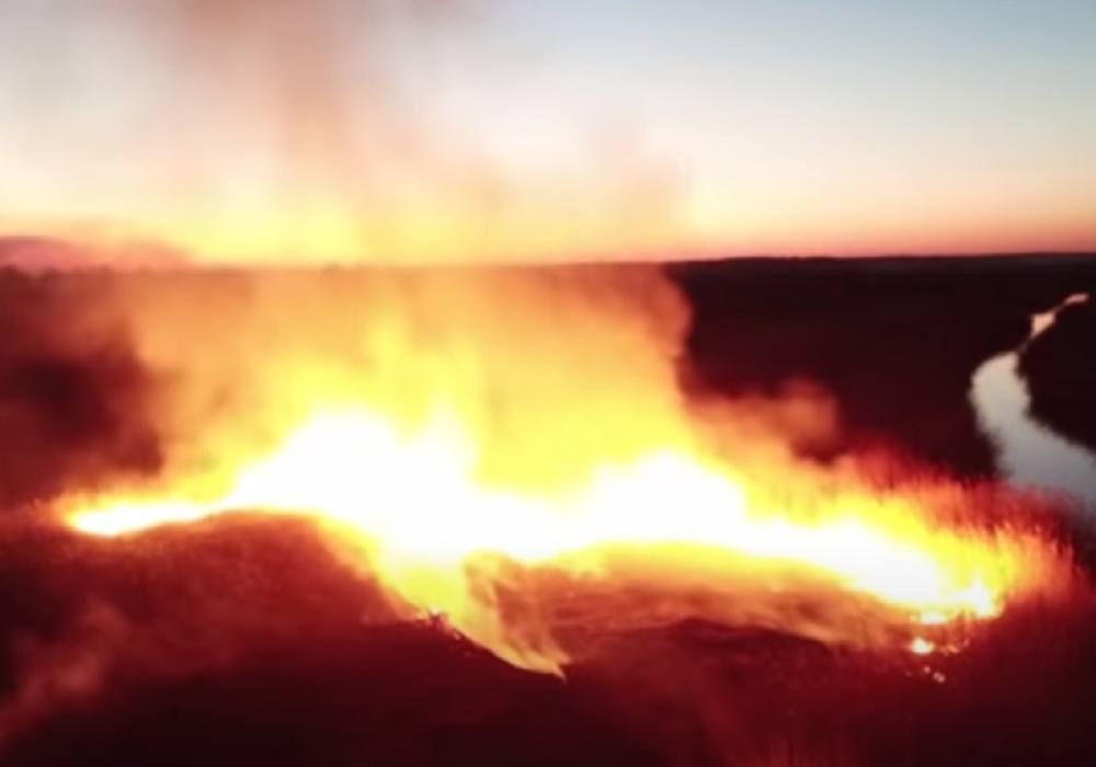 Nivo radijacije 16 puta iznad normalnog (FOTO/VIDEO)