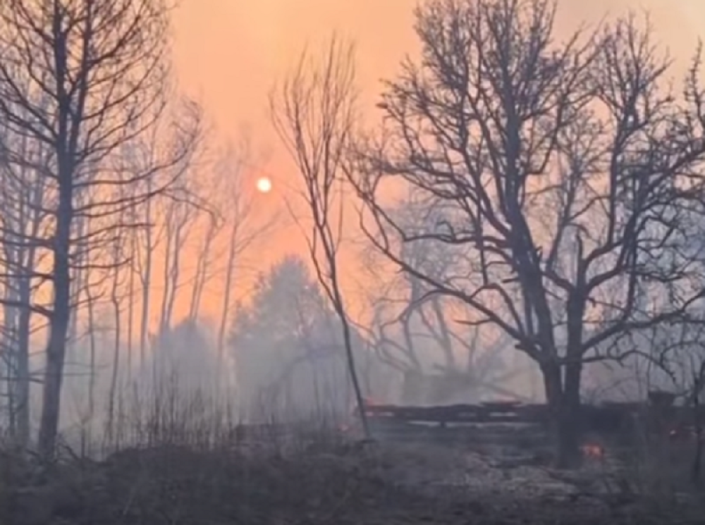 Meštani napravili požar u Žablju, vatrogasci se mučili da spreče moguću katastrofu!