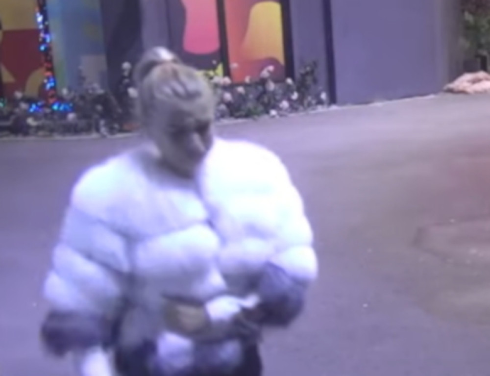 Bora Santana brutalno ponizio Milicu Kemez pred svima, njegove reči su više nego surove!