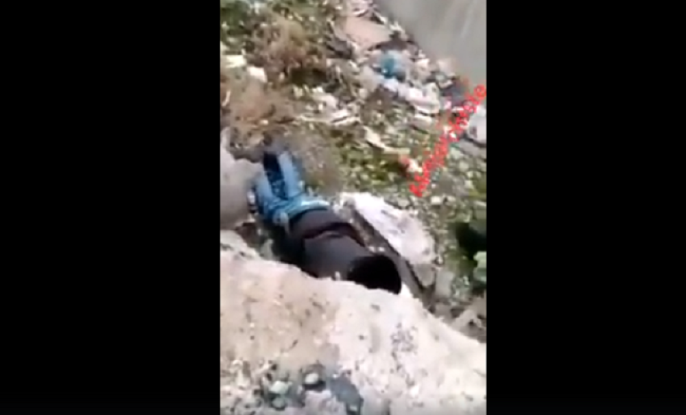 Migrant uhvaćen kako siluje psa! (UZNEMIRUJUĆI VIDEO)