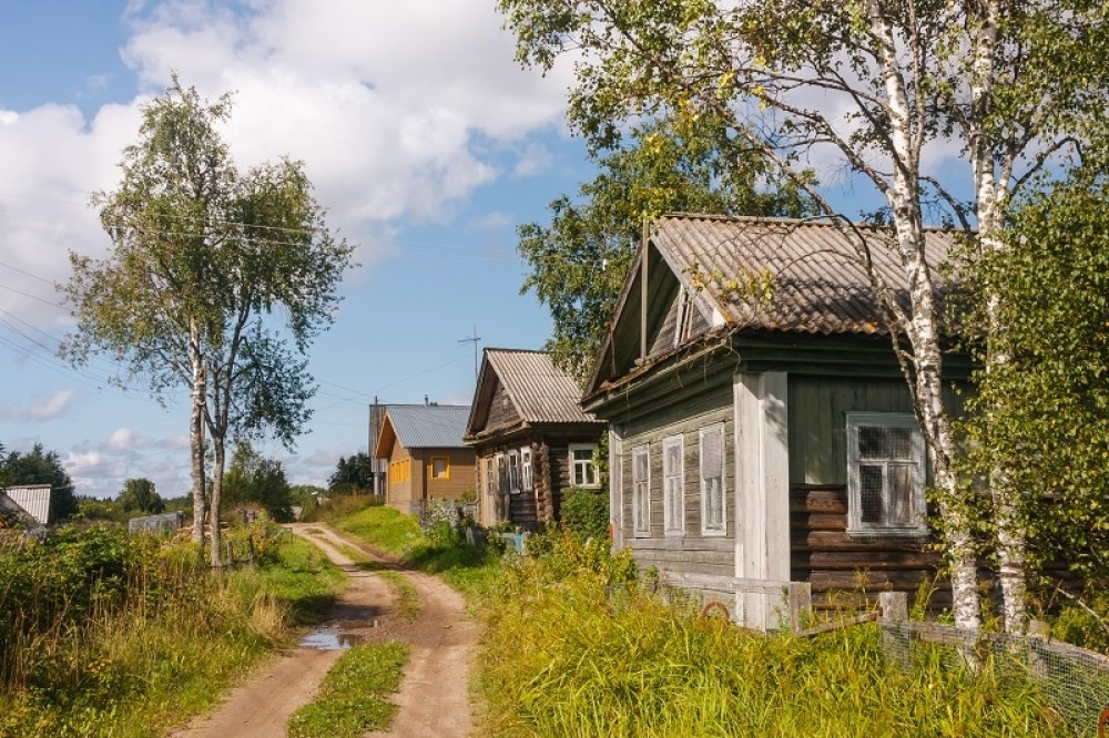 Unosan biznis koji možete da razvijete samo na selu