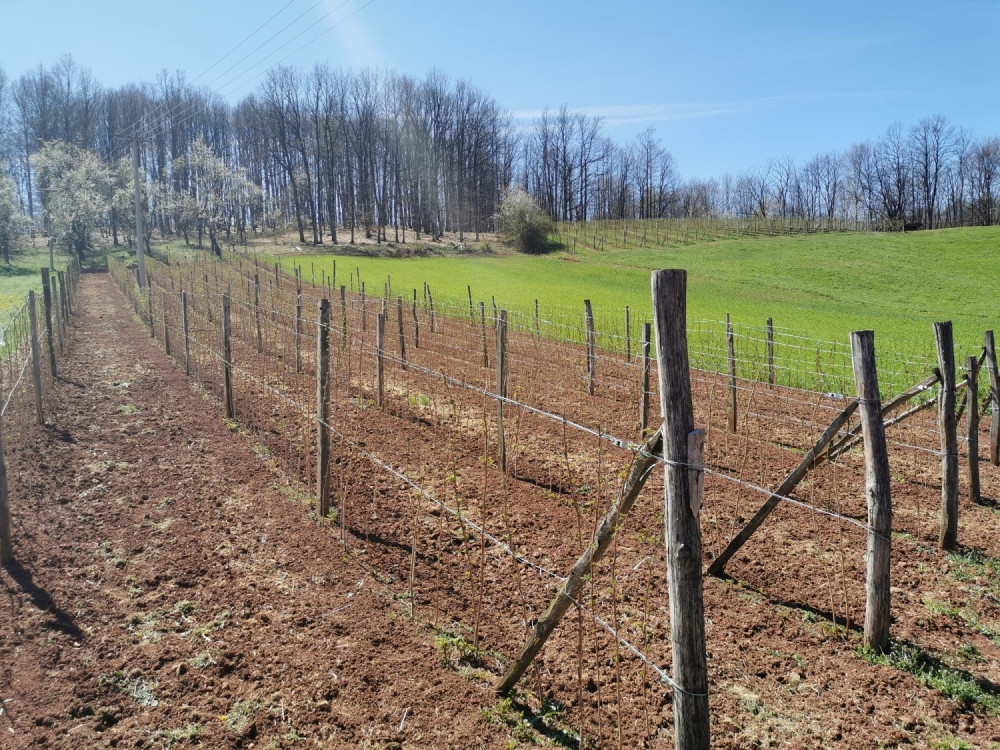 Ako ste izgubili posao u EU i vratili se u Srbiju, sada možete da zbrinete svoje porodice