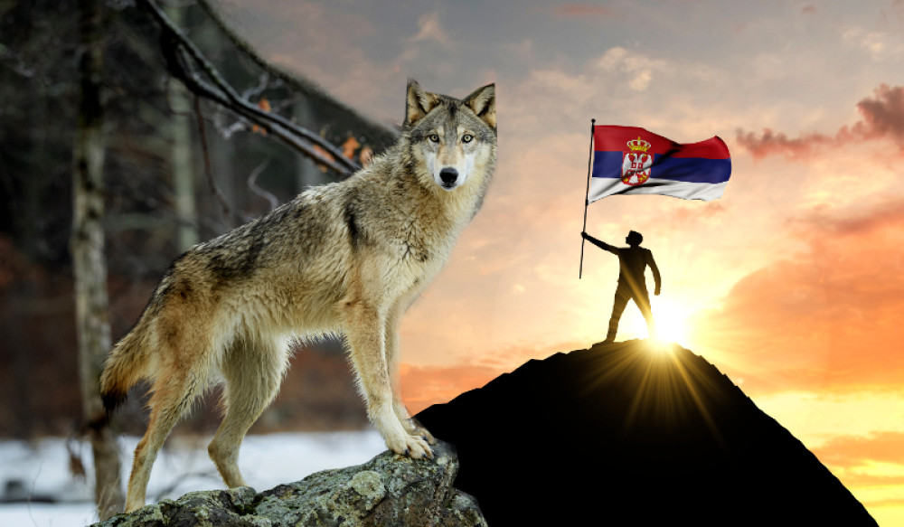 Zašto se vekovima veruje da su Srbi nastali od vukova?