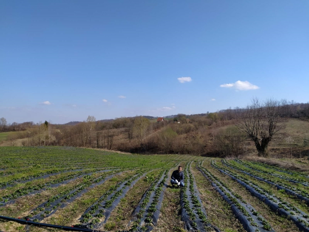 Da li je ovo zapravo znak da je vreme da se okrenemo zemlji umesto betonu?