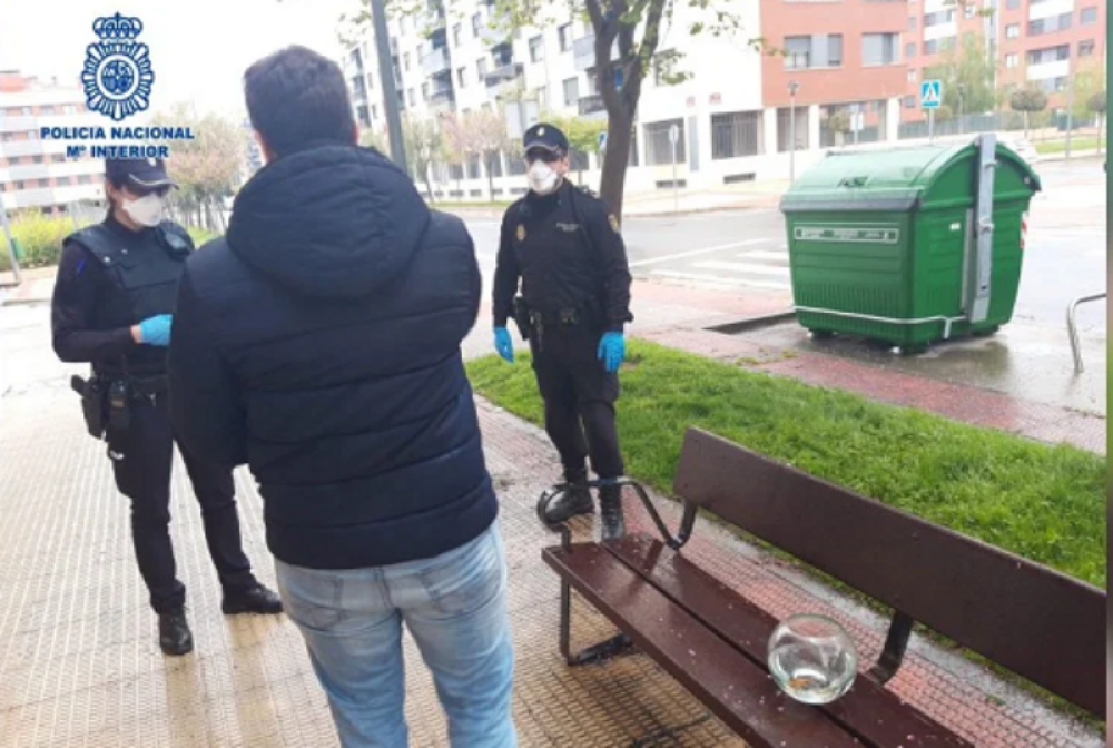 Španci šetaju i ribice iz akvarijuma (FOTO)