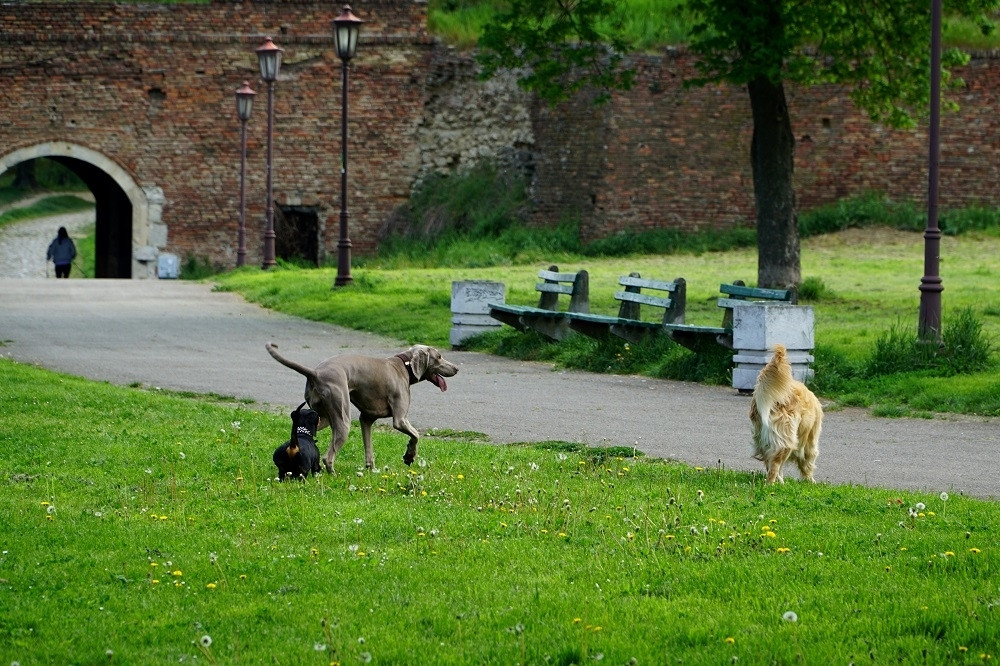 Na snazi zabrana kretanja do subote u 5 ujutru, ali evo šta nas čeka od sledeće nedelje