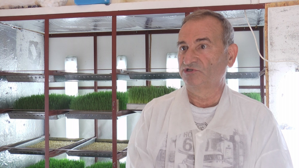 Nebojša iz Čačka izlečio suprugu, pa počeo da proizvodi čudotvorni lek (FOTO)