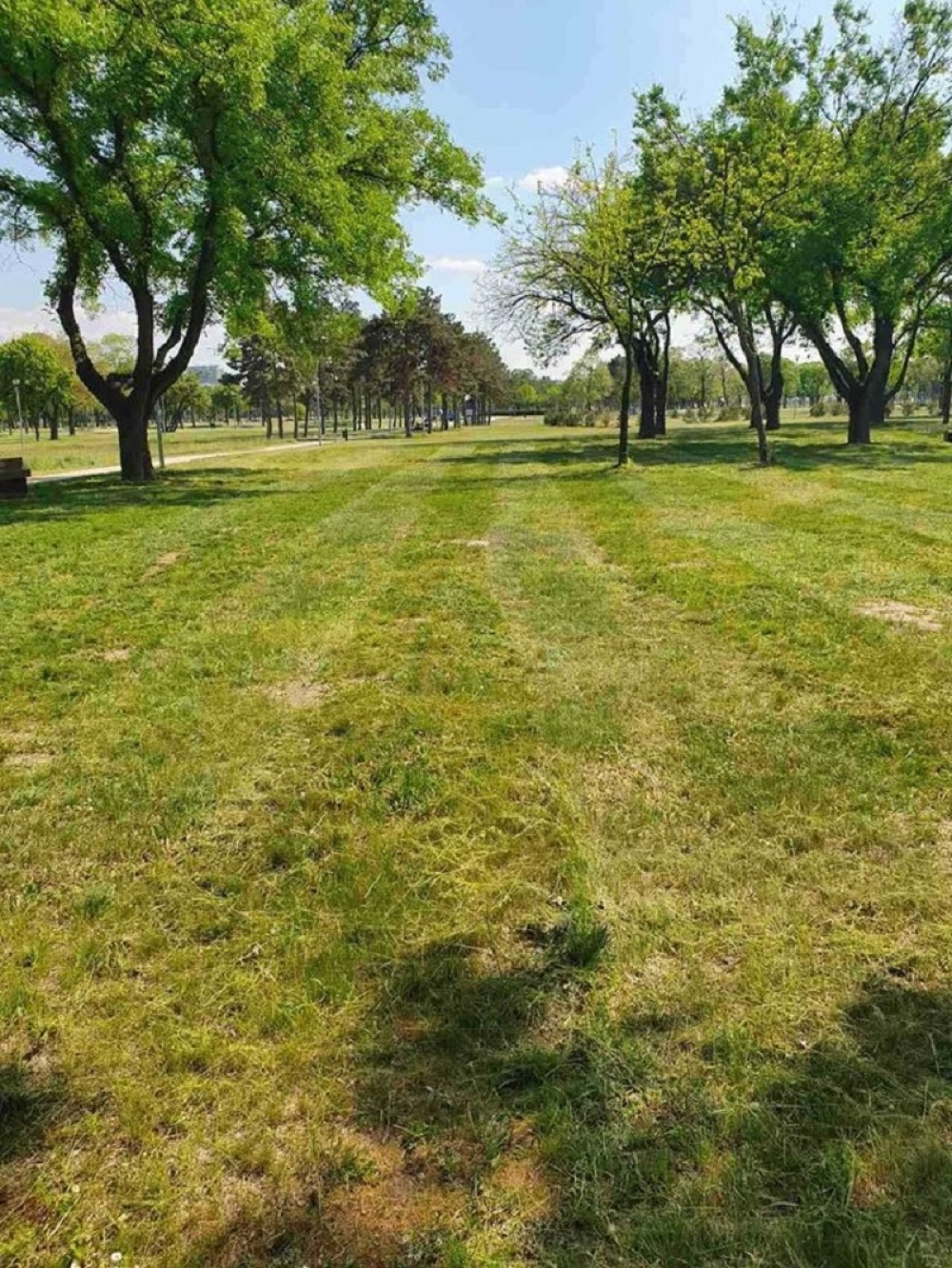 Spremni smo da otvorimo naša 64 parka