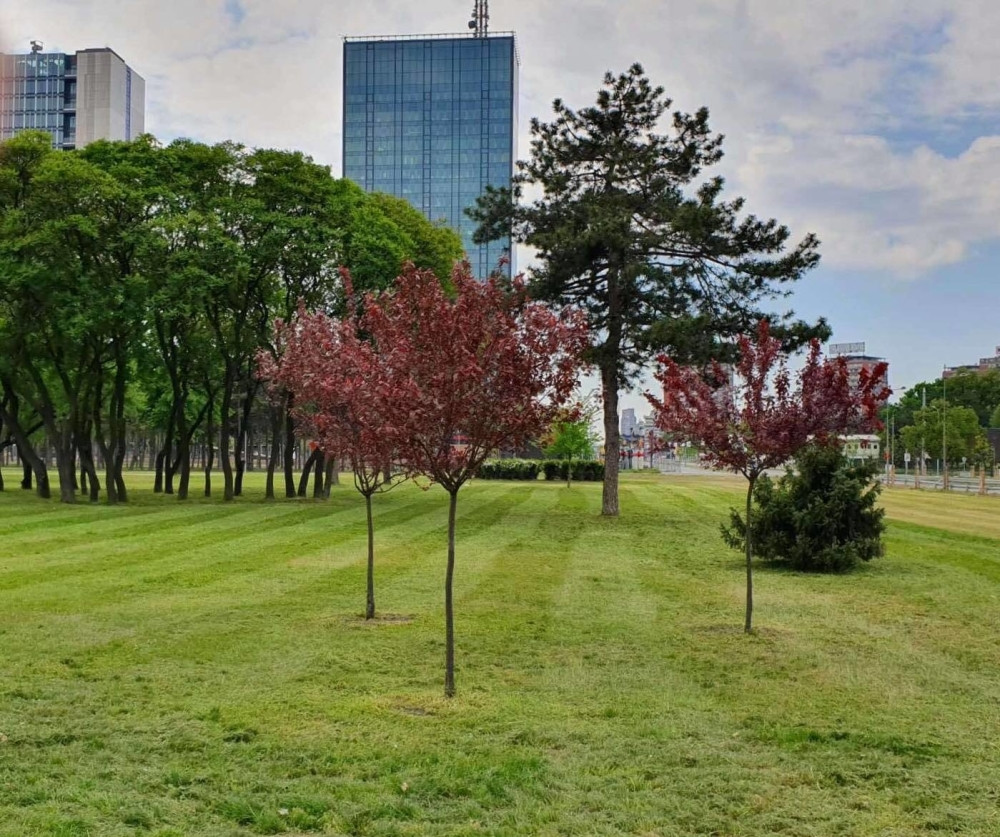 Premijer otišao na piknik, skinuo se go, a nije bio sam (FOTO)