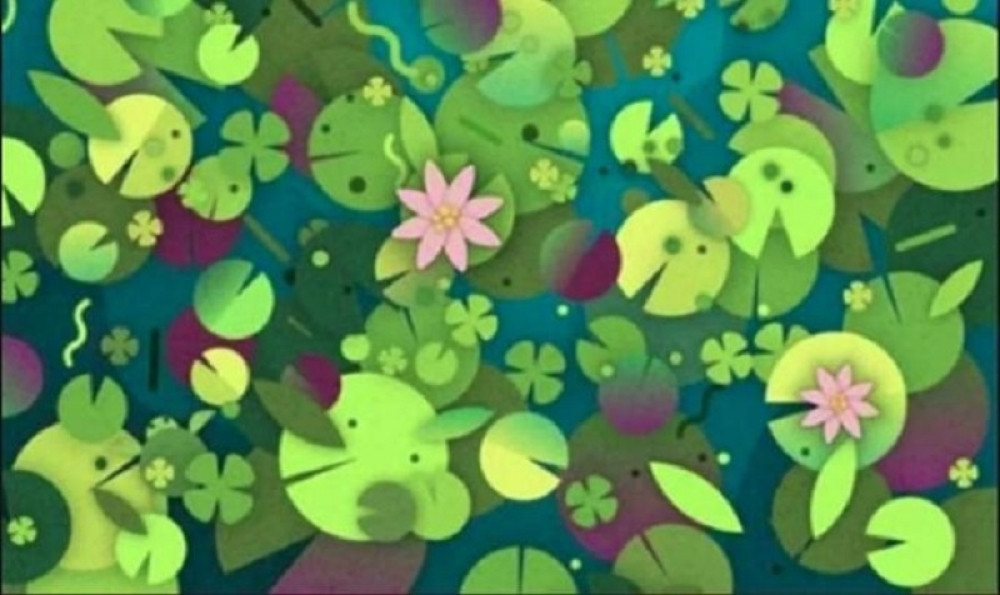 Mozgalica je zaludela svet, šanse da je muškarac reši su minimalne! (FOTO)