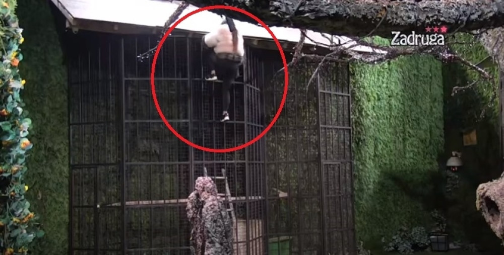 Dragana Mitar izbačena iz Bele kuće, nakon stravičnih scena! (VIDEO)